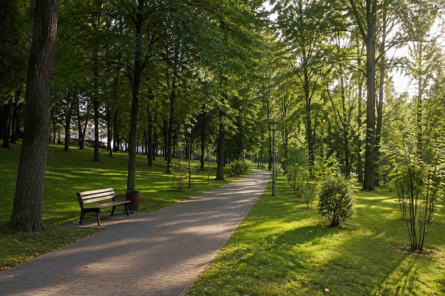 https://novosibirsk.blago-s.ru/storage/app/uploads/public/6a7/eef/ed2/6a7eefed2af22038960370.jpg